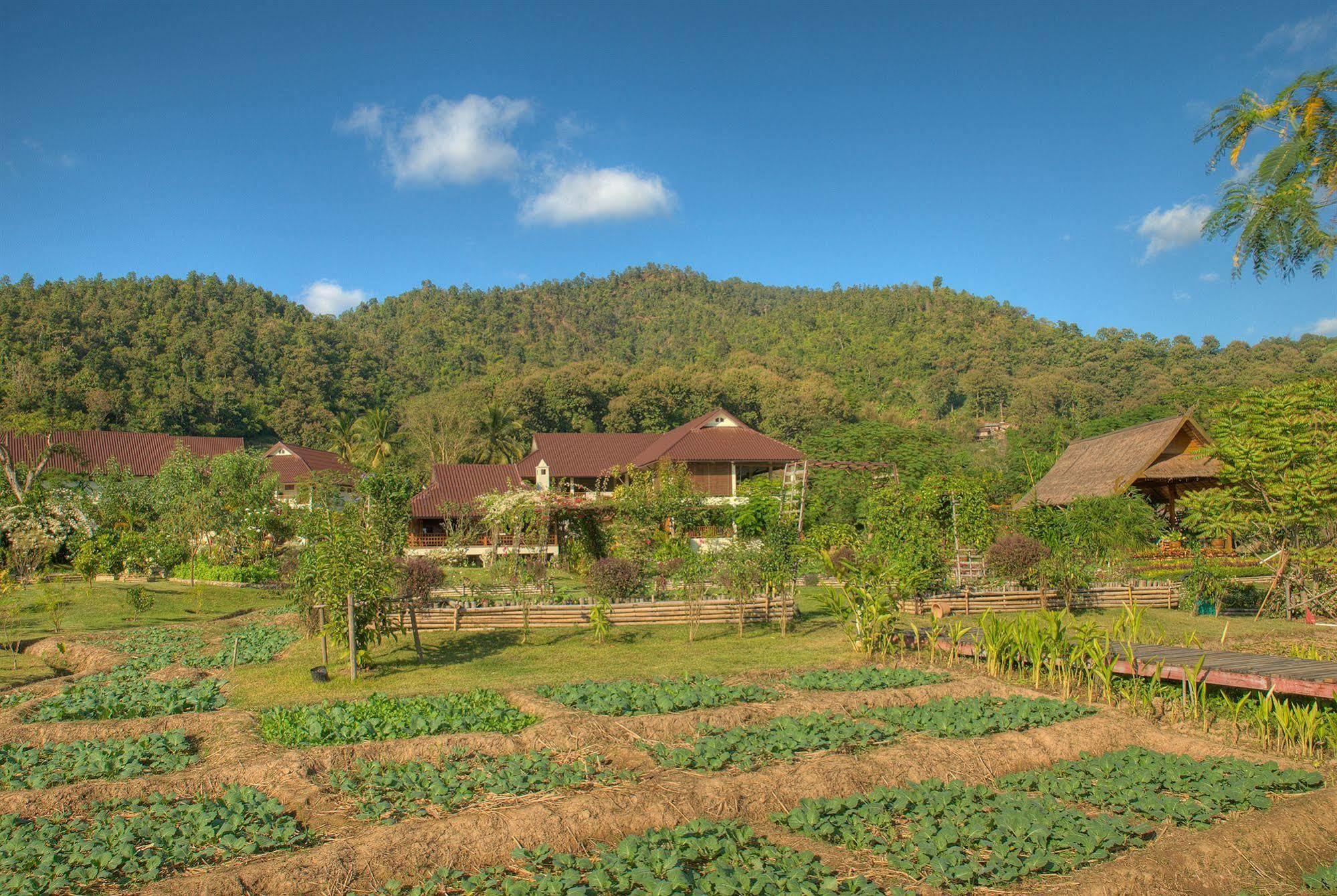 Maekok River Village Resort Mae Ai Zewnętrze zdjęcie